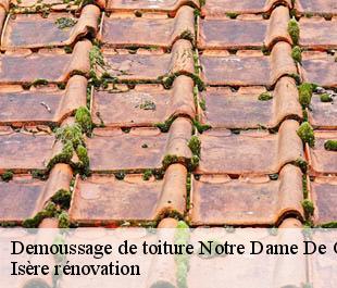 Demoussage de toiture notre-dame-de-commiers-38450 Isère rénovation