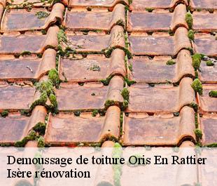 Demoussage de toiture oris-en-rattier-38350 Isère rénovation