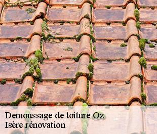 Demoussage de toiture  oz-38114 Isère rénovation