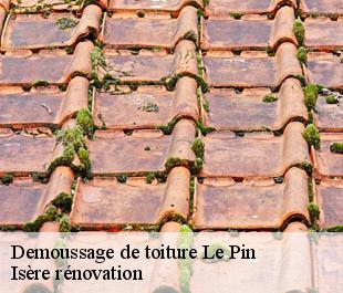 Demoussage de toiture  le-pin-38730 Isère rénovation
