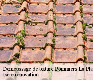 Demoussage de toiture  pommiers-la-placette-38340 Isère rénovation