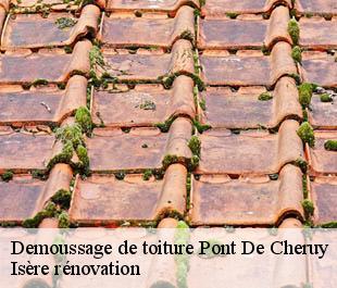 Demoussage de toiture  pont-de-cheruy-38230 Isère rénovation