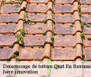 Demoussage de toiture quet-en-beaumont-38970 Isère rénovation