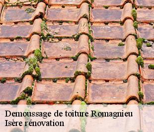 Demoussage de toiture  romagnieu-38480 Isère rénovation