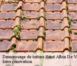 Demoussage de toiture  saint-albin-de-vaulserre-38480 Isère rénovation