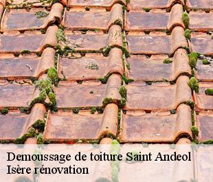 Demoussage de toiture  saint-andeol-38650 Isère rénovation