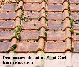Demoussage de toiture  saint-chef-38890 Isère rénovation