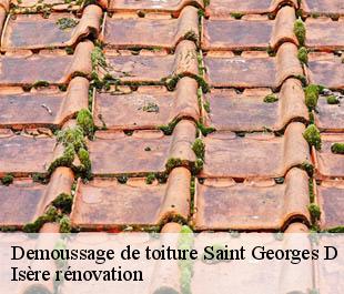 Demoussage de toiture  saint-georges-d-esperanche-38790 Isère rénovation