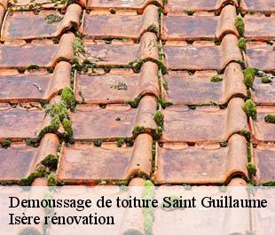 Demoussage de toiture saint-guillaume-38650 Isère rénovation