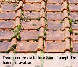 Demoussage de toiture  saint-joseph-de-riviere-38134 Isère rénovation