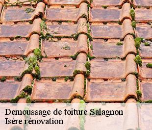 Demoussage de toiture salagnon-38890 Isère rénovation