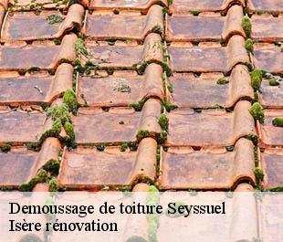 Demoussage de toiture seyssuel-38200 Isère rénovation