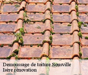 Demoussage de toiture  sousville-38350 Isère rénovation