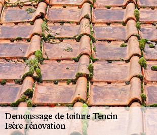 Demoussage de toiture tencin-38570 Isère rénovation