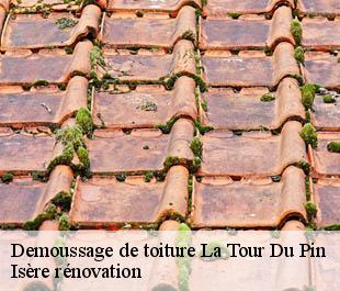 Demoussage de toiture  la-tour-du-pin-38110 Isère rénovation