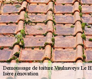 Demoussage de toiture  vaulnaveys-le-haut-38410 Isère rénovation