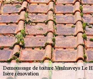 Demoussage de toiture vaulnaveys-le-haut-38410 Isère rénovation