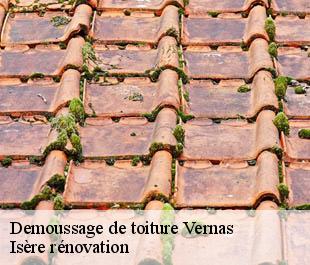 Demoussage de toiture vernas-38460 Isère rénovation
