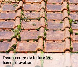 Demoussage de toiture  vif-38450 Isère rénovation