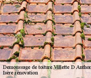 Demoussage de toiture villette-d-anthon-38280 Isère rénovation