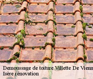 Demoussage de toiture  villette-de-vienne-38200 Isère rénovation