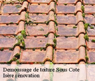 Demoussage de toiture  sous-cote-38780 Isère rénovation