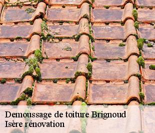 Demoussage de toiture  brignoud-38190 Isère rénovation
