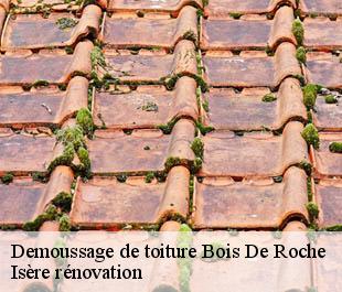 Demoussage de toiture bois-de-roche-38090 Isère rénovation