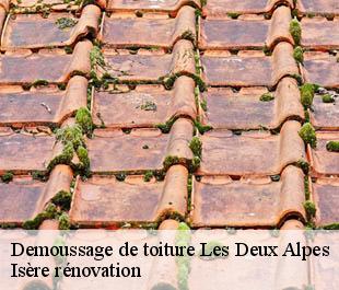 Demoussage de toiture  les-deux-alpes-38860 Isère rénovation