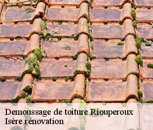 Demoussage de toiture riouperoux-38220 Isère rénovation