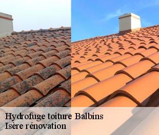 Hydrofuge toiture  balbins-38260 Isère rénovation