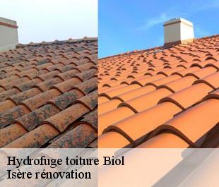 Hydrofuge toiture biol-38690 Isère rénovation