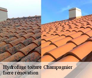 Hydrofuge toiture champagnier-38800 Isère rénovation