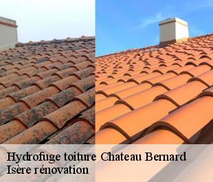 Hydrofuge toiture  chateau-bernard-38650 Isère rénovation