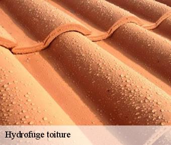 Hydrofuge toiture