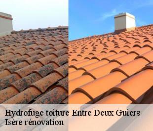 Hydrofuge toiture  entre-deux-guiers-38380 Isère rénovation