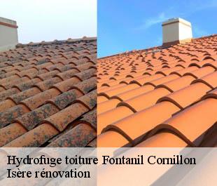 Hydrofuge toiture  fontanil-cornillon-38120 Isère rénovation