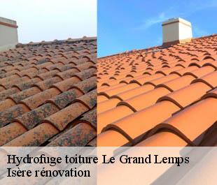 Hydrofuge toiture  le-grand-lemps-38690 Isère rénovation