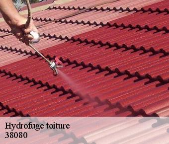 Hydrofuge toiture 38080