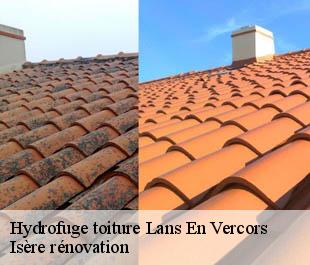 Hydrofuge toiture lans-en-vercors-38250 Isère rénovation