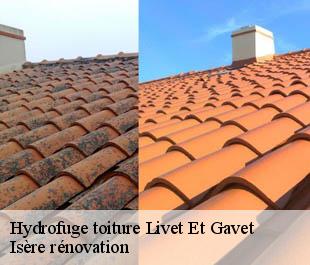 Hydrofuge toiture livet-et-gavet-38220 Isère rénovation