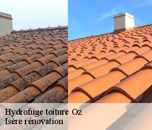 Hydrofuge toiture oz-38114 Isère rénovation