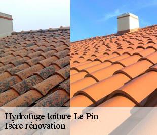 Hydrofuge toiture le-pin-38730 Isère rénovation