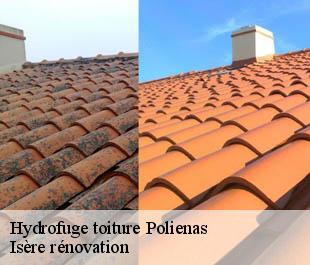 Hydrofuge toiture  polienas-38210 Isère rénovation