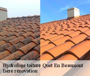 Hydrofuge toiture  quet-en-beaumont-38970 Isère rénovation